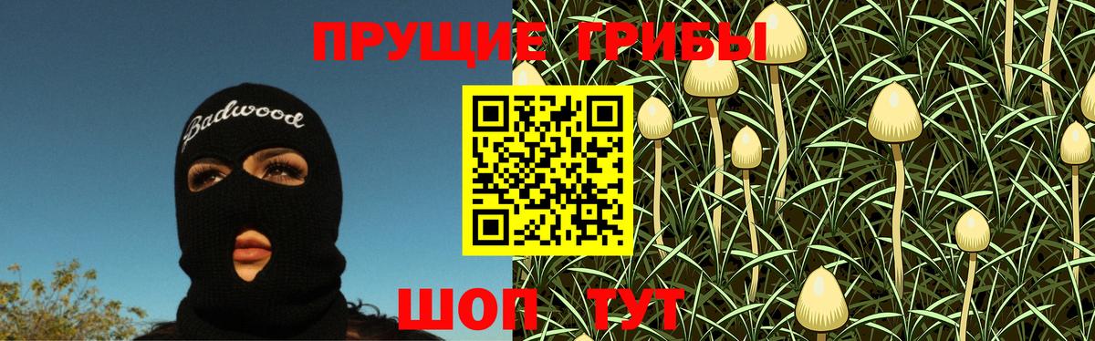 Галлюциногенные грибы Psilocybine cubensis  Вход с VPN  Спасск-Дальний 