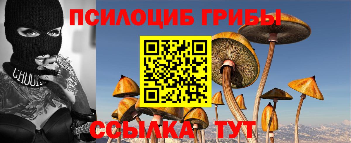 Галлюциногенные грибы MAGIC MUSHROOMS Спасск-Дальний